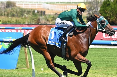 Sheza Alibi Caulfield