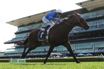 Spring Champion Stakes 2025 Betting Tips - Could Federalist be the Value Edge?