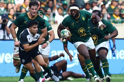 Springboks rugby