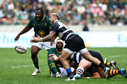 Springboks rugby
