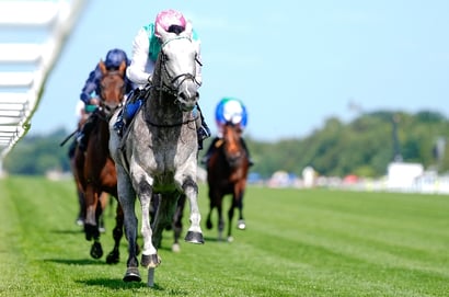 St James's Palace Stakes