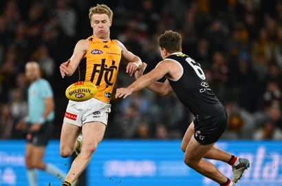 St Kilda Hawthorn Marvel