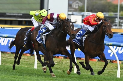 Stradbroke Handicap 2026 Betting Odds - An Open Market Has Been Assembled