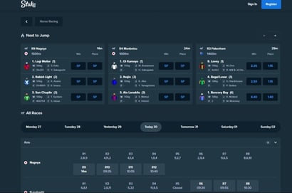 Stake.com horse racing home page