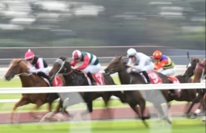 Stawell Betting Tips