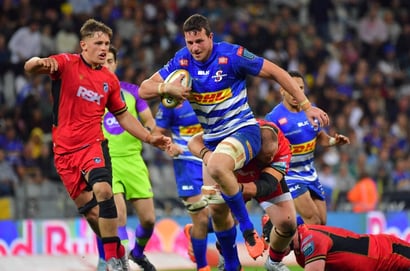 Stormers rugby