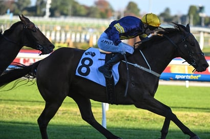 Stradbroke Handicap 2025 - Barrier Draw & Final Field
