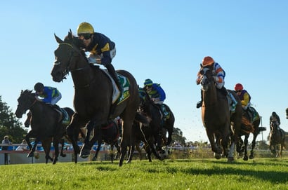 Stradbroke Handicap 2025 Betting Odds - War Machine is a firm favourite