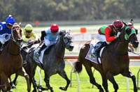 Strathalbyn Tips for 15.01.2025