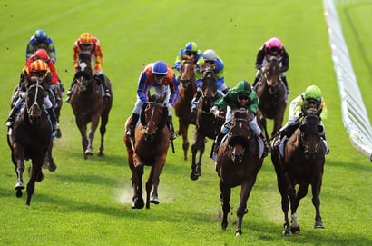 Strathalbyn Betting Tips for August 19, 2026 - Flyway Has a Surprise in Store