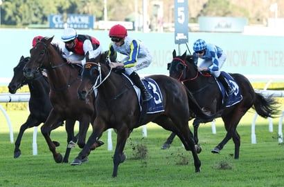 Sunny Coast tips 22/11