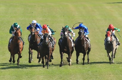 Sunshine Coast Tips for 25.04.2025