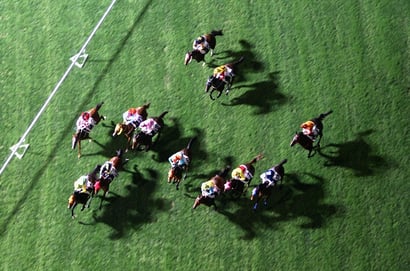 Sunshine Coast tips - 06/03