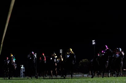 Sunshine Coast tips - 11/09
