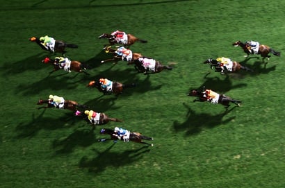 Sunshine Coast tips 24/10