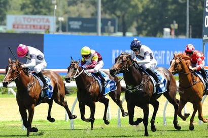 Sunshine Coast Betting Tips for July 4, 2026 - Steady as They Come