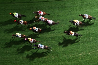 Sunshine Coast tips for 14.11.2025