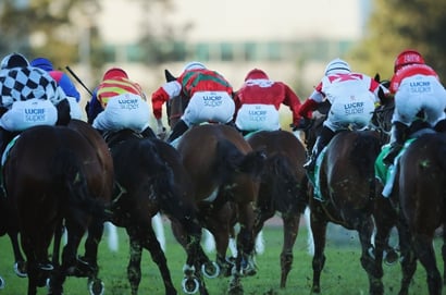 Sunshine Coast tips for 15.08.2025