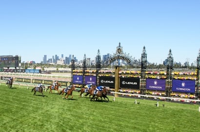 Super Saturday Fields