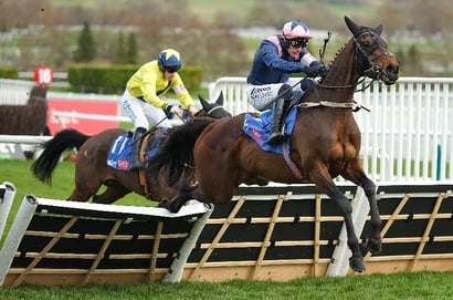 2026 Supreme Novices' Hurdle Live Stream - Watch the Cheltenham Festival race online