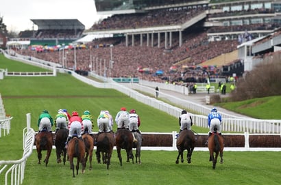 2026 Supreme Novices' Hurdle Entries - Old Star Park and El Cairos headline entries for the opener