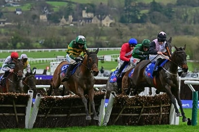 2025 Supreme Novices' Hurdle Live Stream - Watch this Cheltenham Festival race online