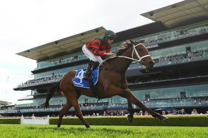 Surround Stakes 2025 Betting Odds - Waller fillies dominate the market