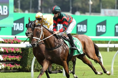 Surround Stakes 2025 Betting Tips - Is there value outside of Lady Shenandoah?