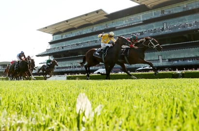 Surround’s Legacy - The Filly Behind Sydney’s First Group 1 of the Year