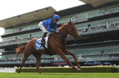 Surround Stakes 2026 Betting Tips - Does Tempted Run 1400m?