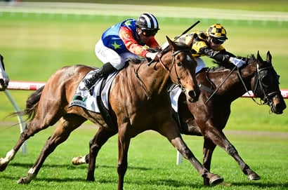 Swan Hill tips - 07/06