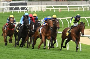Swan Hill tips - 21/08