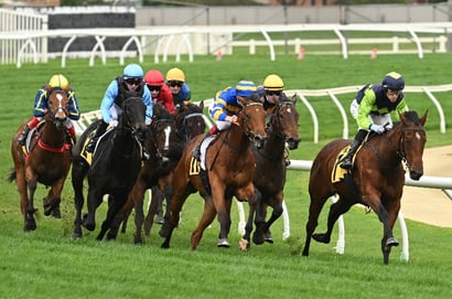 Swan Hill tips - 21/08