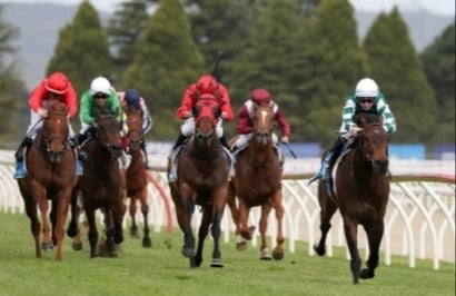 Swan Hill tips