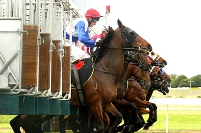 Swan Hill tips for 29.07.2025