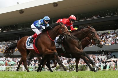 Sydney Cup Barriers