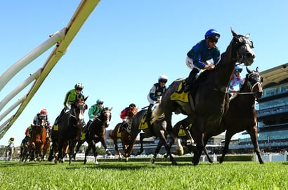 Sydney Cup 2025 Betting Odds - Three runners are in single figures