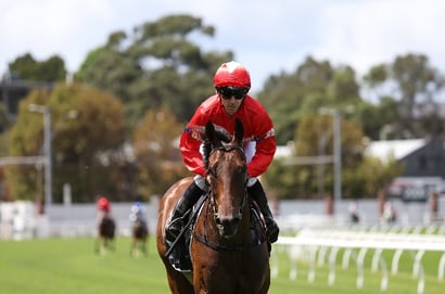 Sydney Cup odds