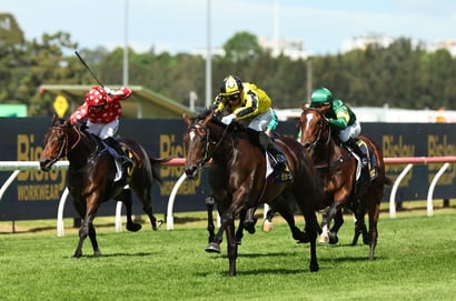 Sydney Cup tips