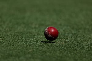 T20 Central Europe Cup Cricket (Getty Images)