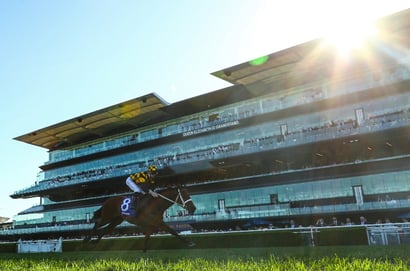 TJ Smith Stakes Odds