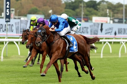 TJ Smith Stakes 2026 Betting Tips - Will Tentyris Bounce Back?