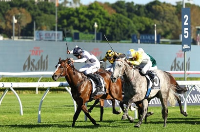 TJ Smith Stakes 2026 - Barrier Draw & Final Field