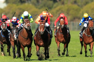 Tamworth Tips for 27.06.2025