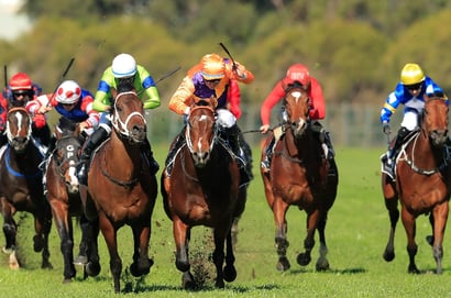 Tamworth Tips for 27.06.2025