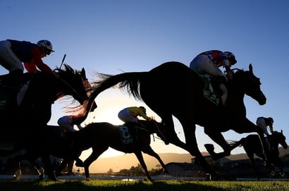 Tamworth tips for 14.10.2025