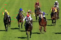Tamworth tips for 15.08.2025