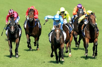 Tamworth tips for 26.06.2026