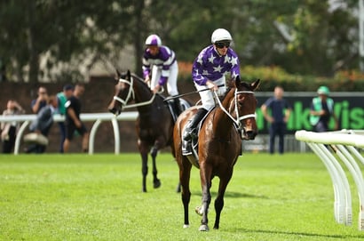 Tancred Stakes 2026 Betting Odds - Aeliana Favoured on the Back-Up