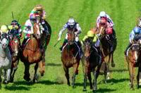 Taree Tips for 22.07.2025
